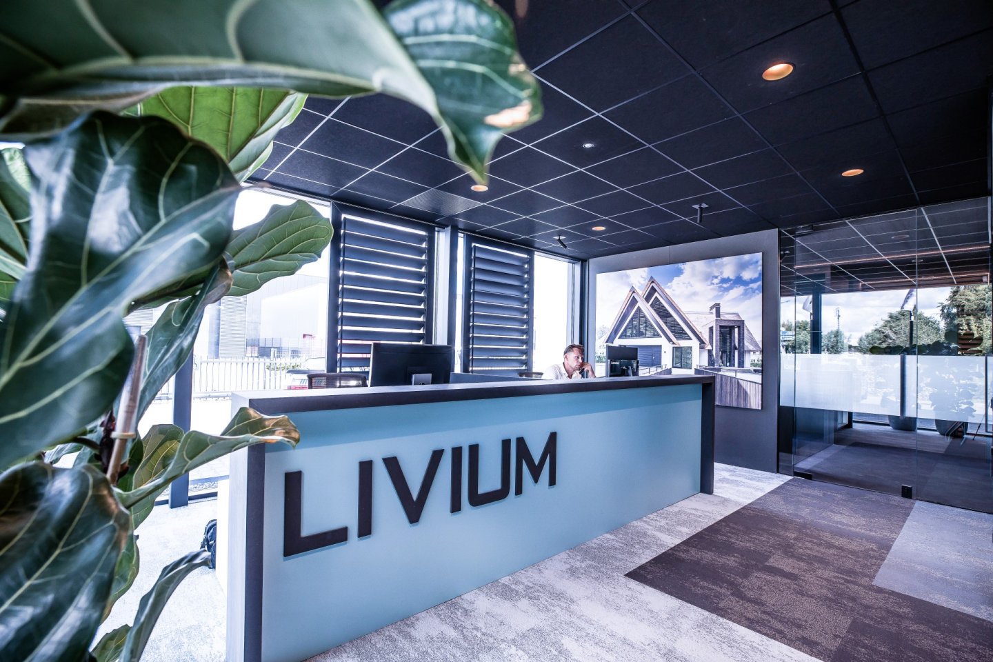 Livium contact
